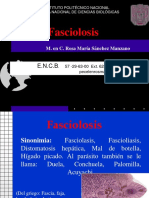 2018 Fascioliosis