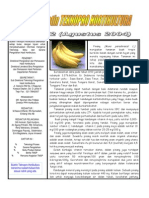 Buletin Teknopro - Pisang (8)