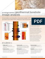 Integrated Borehole Image Analysis