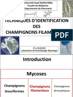 Techniques D - Identification Des Champignons Filamenteux