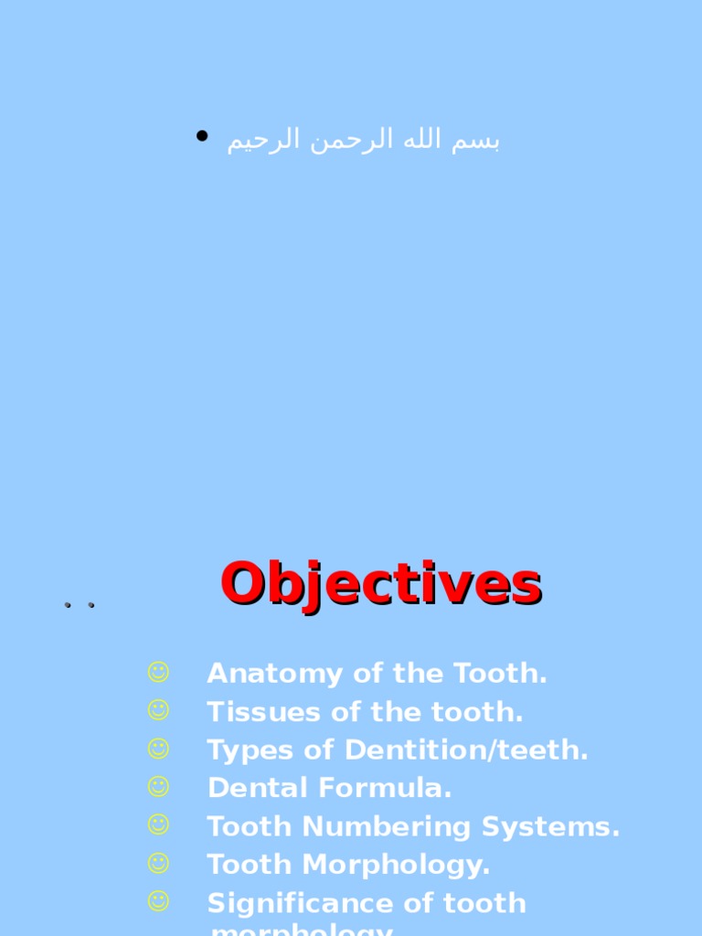 The surfaces of a tooth that contact adjacent teeth are called proximal