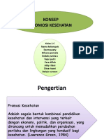 Promosi Kesehatan