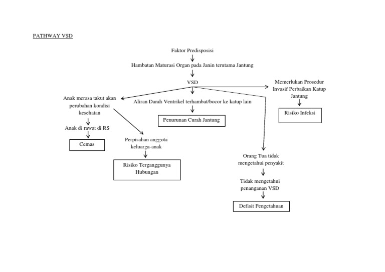 Pathway VSD | PDF