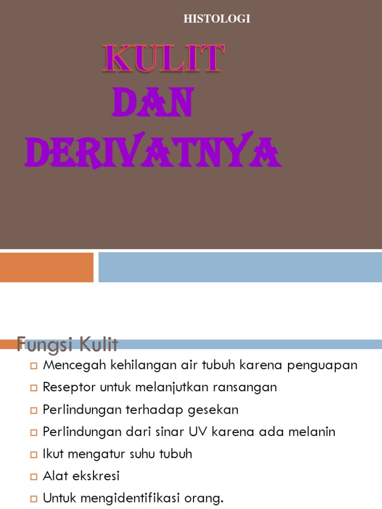 Histologi Kulit | PDF