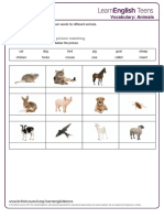 animals_-_exercises.pdf