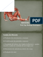 Aula_1_Sistema_Muscular_e_Articular.pdf