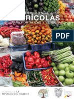 Guía-de-BPA-para-hortalizas-y-verduras ECUADOR