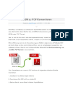 ACSM Zu PDF Konvertieren