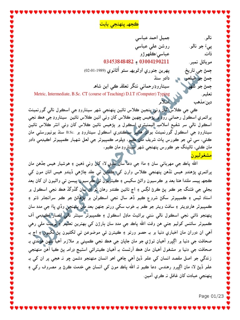 Computer Book in Sindhi Written by Jameel Ahmed Abbasi PDF | PDF