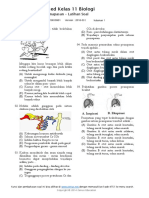 Soal Pilgan Sistem Pernapasan PDF