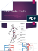 Sistem Kardiovaskular FK UMM 2018