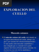 Download Exploracion Del Cuello by llavez SN44085256 doc pdf