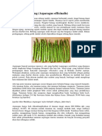 Asparagus_Rebung_Asparagus_officinalis_..pdf