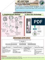 BT Cotton