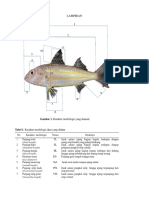 Data Morfometrik