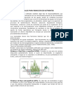 TRABAJO 3 Humedales para Remoción de Nutrientes PDF