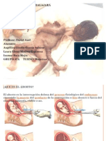 El Aborto Presentación