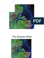 The Amazon River