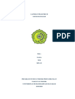 Format Laporan Geo PDF