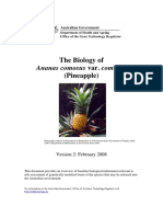 the biology of ananas comosus.pdf