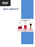 Meio Ambiente