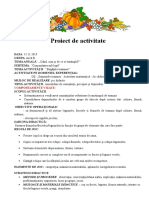 proiect.doc