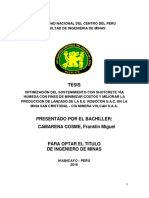 Camarena Cosme.pdf