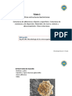 MG Tema 5 Ui PDF