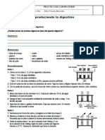 Pulmones y respiración