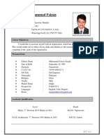 CV Faizan PDF