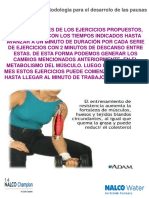 Pausa activa.pdf