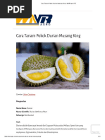 Cara Tanam Pokok Durian Musang King - WNR Agro PLT PDF