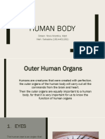 The 7 Main Outer Organs of the Human Body