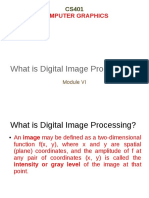 Introduction To Digital Image Processing Draft
