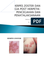 Herpes Zoster Dan Neuralgia Post Herpetik