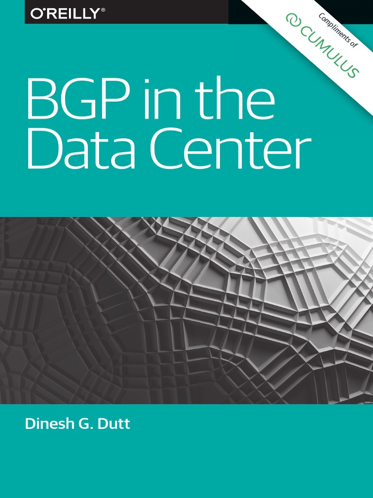BGP Oreilly PDF PDF Routing Computer Network