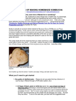 Kombuchabasics PDF