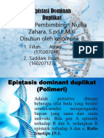 Epistasi Dominan Duplikat 2