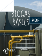 Biogas Basics v6