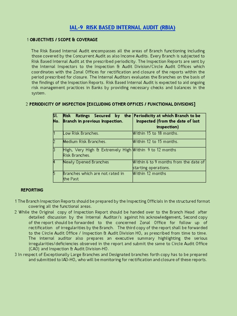 IAL-9 Risk Based Internal Audit | PDF | Internal Audit | Risk Management