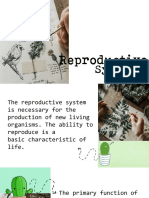 GROUP-2-REPRODUCTIVE-SYSTEM