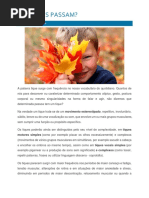 01_2017-Os-tiques-passam