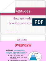 Attitude.pptx