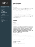 CV Maftei Ciprian