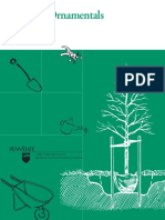 Planting-Ornamentals 1 PDF