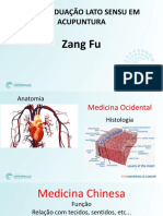 Aula Zang Fu PDF