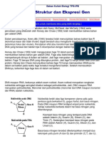 Strukturpdf PDF