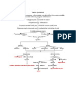 PATHWAY EPILEPSI