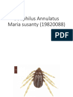Boophilus Annul-WPS Office