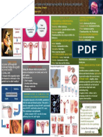 The Role of Cervical and Vaginal Factors For Infertiltiy and Their Management